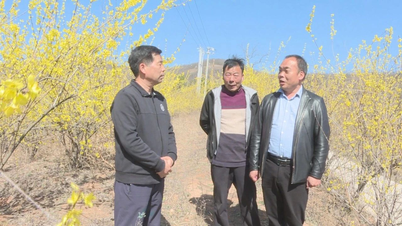 王清华四段后.jpg 王清华四段后.jpg