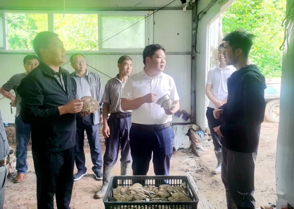 6.17刘.png 6.17刘.png