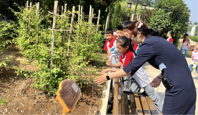 新建 DOCX 文档 (2)268.png