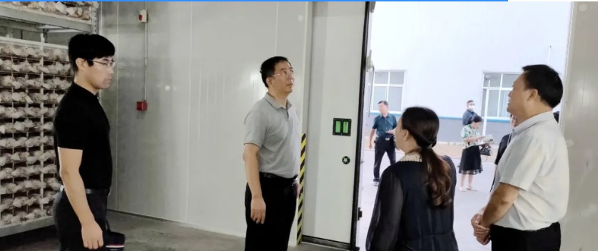 8.27-3.jpg 8.27-3.jpg