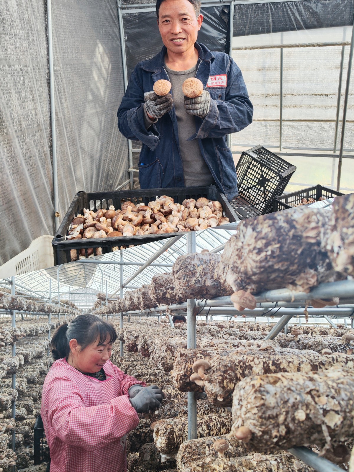 1图片二.jpg 1图片二.jpg