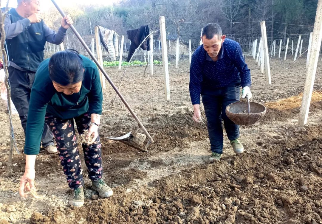 91568644d6964e658fc4e0370ad2dfb7.jpg 91568644d6964e658fc4e0370ad2dfb7.jpg