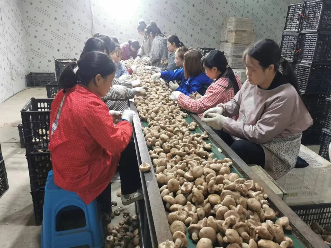 图片3.png 图片3.png