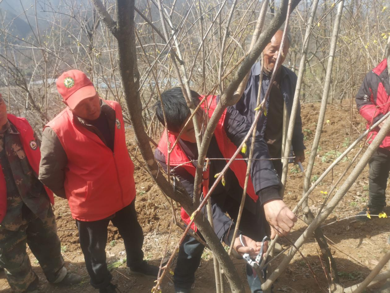 微信图片_20240507172241.png 微信图片_20240507172241.png